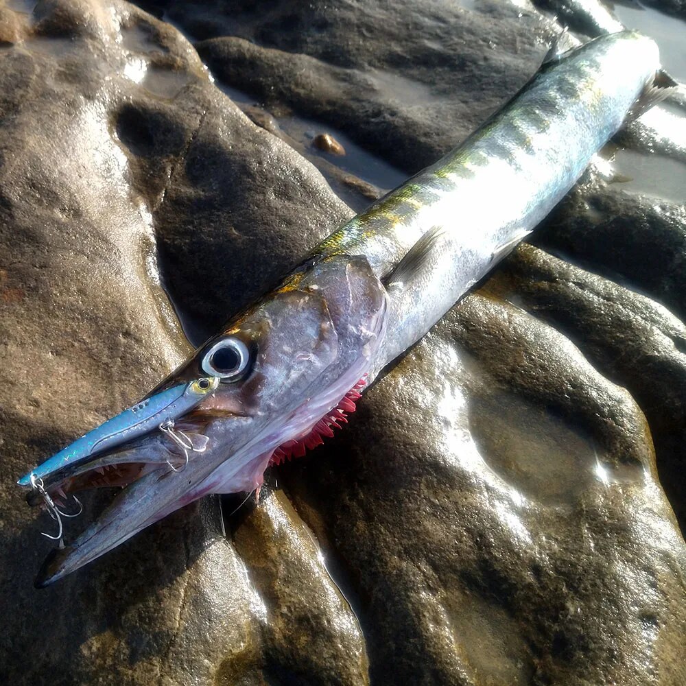 GOBAIT VIB Fishing Lure 20g 25 - Fishing Hook Treble recensie en prijs