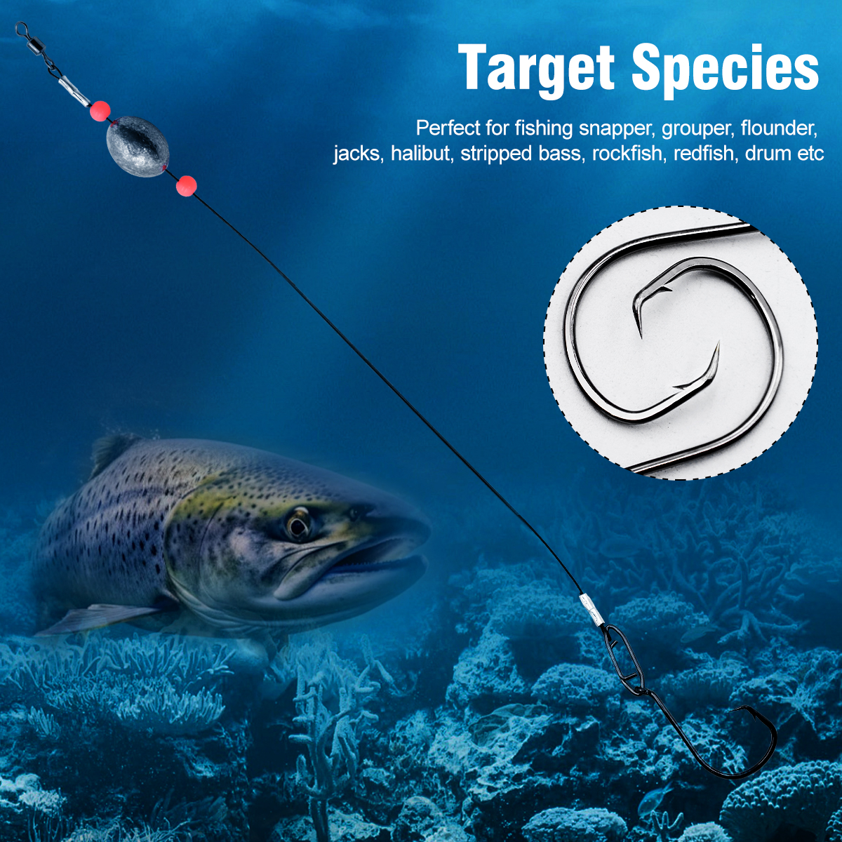 ZYZHE 2pcs Fishing Carolina Ri - Fishing Hook Circle recensie en prijs