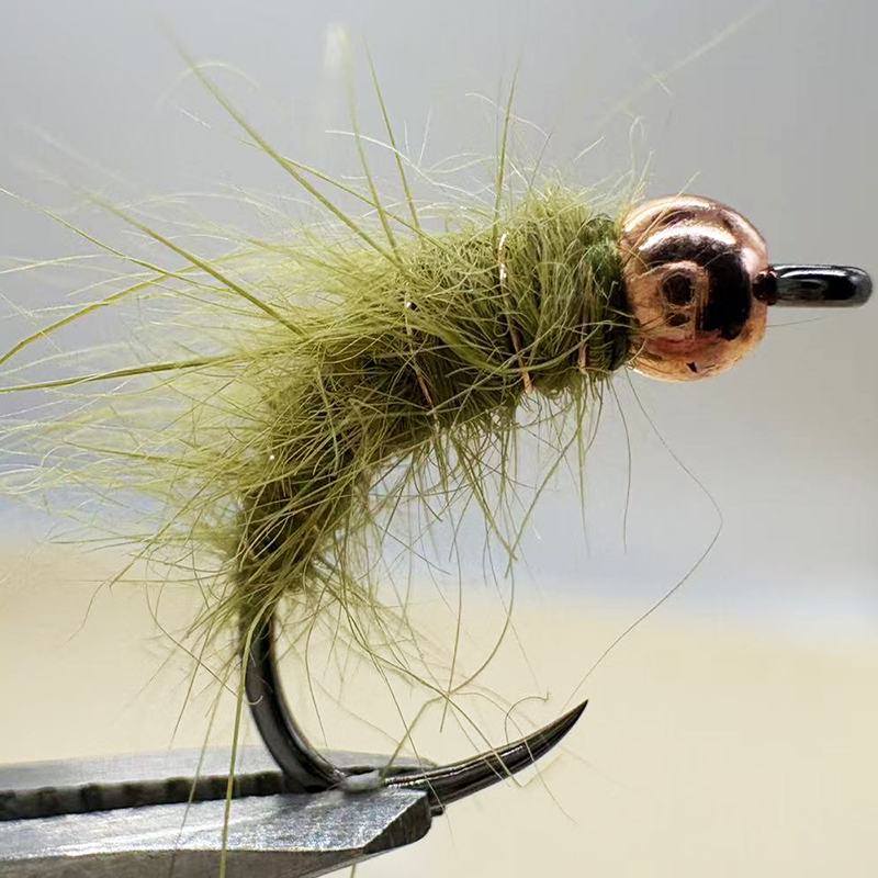 5PCS Fly Fishing Nymphs Wet Fl - Fishing Hook Barbless recensie en prijs