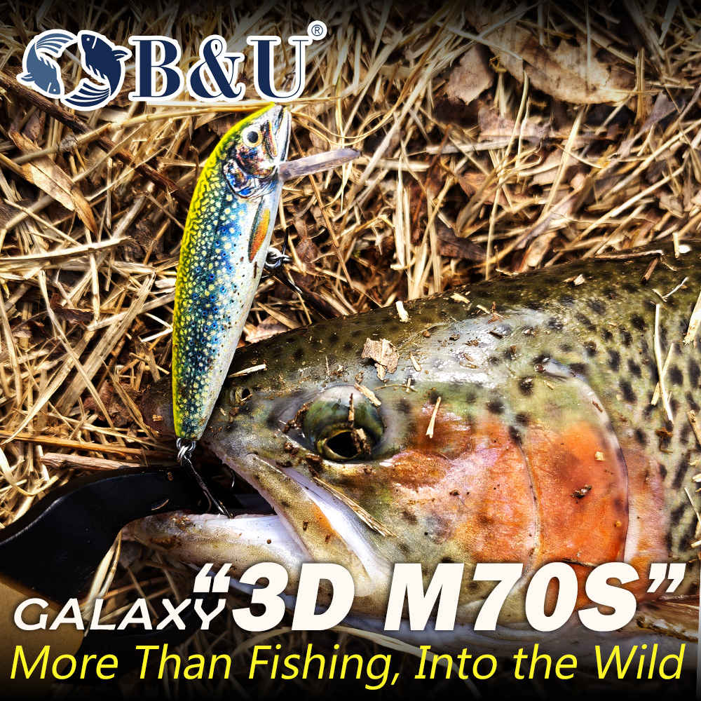 B&U Sinking Minnow Fishing Lur - Fishing Hook Treble recensie en prijs