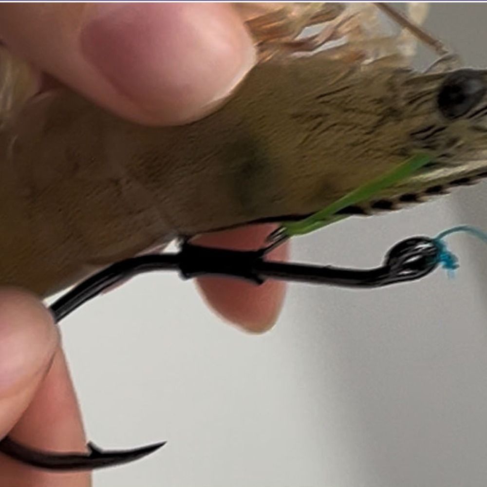 10pcs Pickerel Live Shrimp Bai - Fishing Hook Weedless recensie en prijs