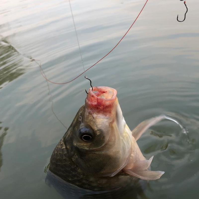 FTK Automatic Flip High Carbon - Fishing Hook Assortment recensie en prijs